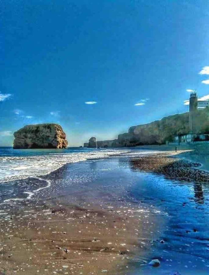 شقة Cosy Haven جنوب شيلْدْز المظهر الخارجي الصورة
